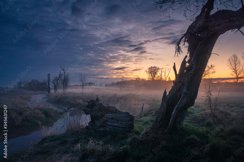 Dawn in the Jeziorka valley near Piaseczno, Masovia, Poland