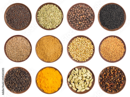 Set of spice in clay plates: cloves, black pepper, allspice, fenugreek, mustard seeds, cumin (jeera), fennel, coriander, turmeric isolated on white background