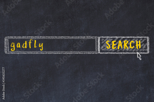 Fotografie Chalk sketch of browser window with seqrch form and inscription gadfly