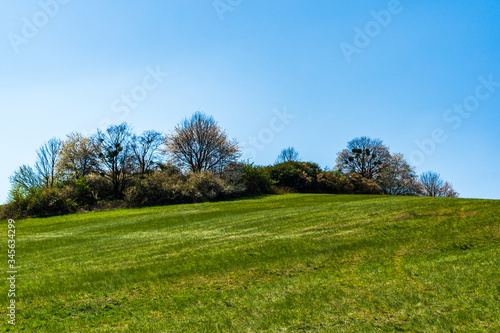 green pastures and trees blooming in spring on a clear day with blu e sky  czech beskydy