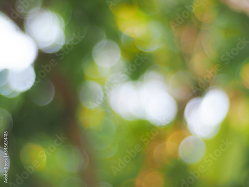 Beautiful bokeh used for the background