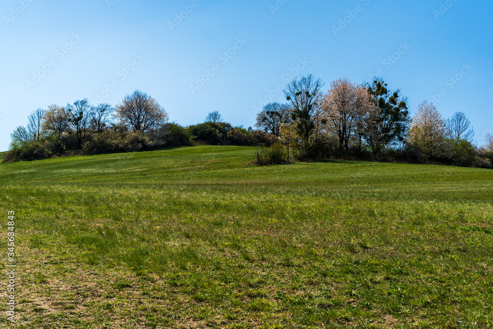 green pastures and trees blooming in spring on a clear day with blu e sky, czech beskydy green pastures and trees blooming in spring on a clear day with blu e sky, czech beskydy