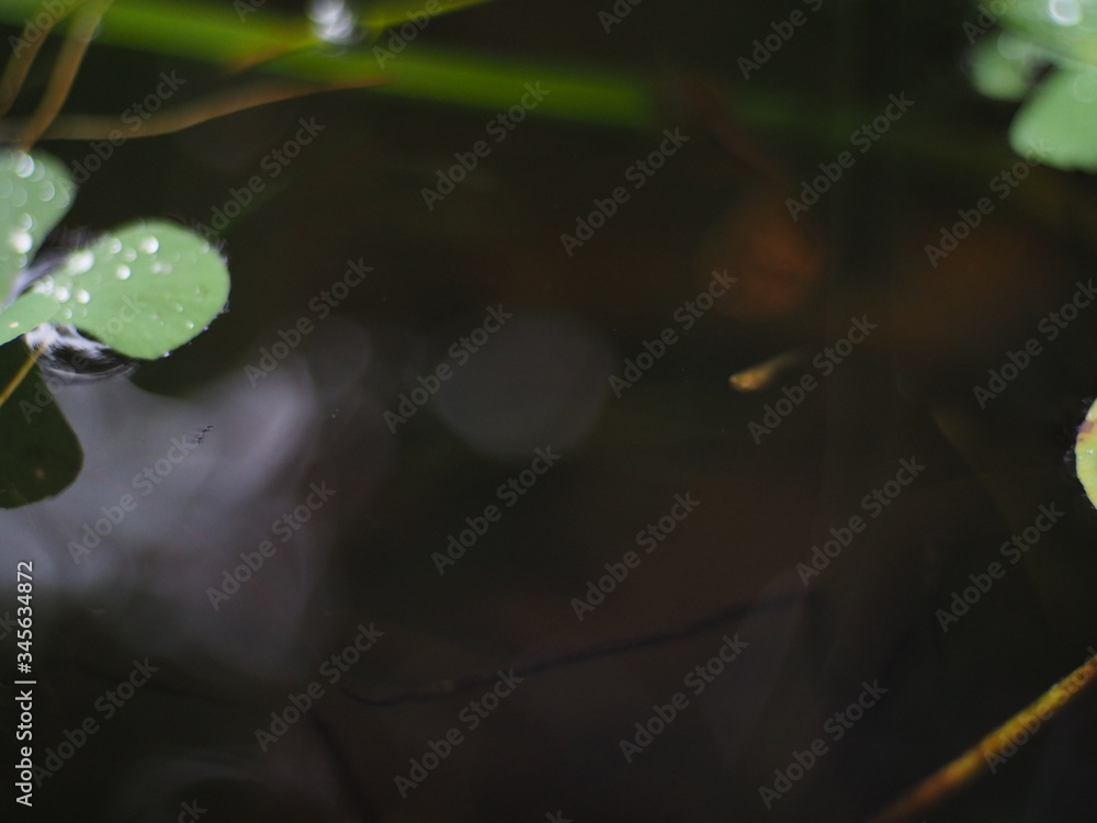 The water surface is moving. The water surface is moving.