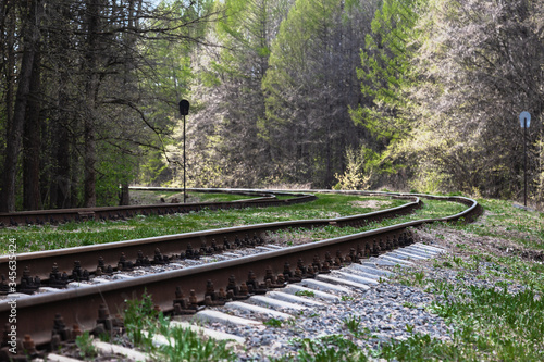 Abandoned rails of an abandoned railway in the forest
