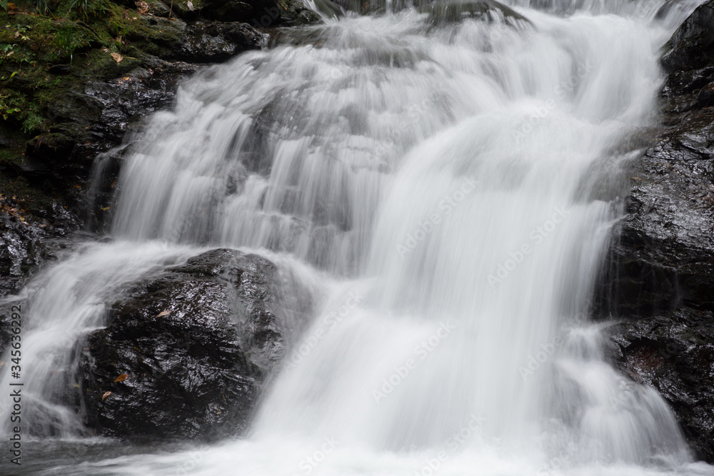 Fototapeta premium 滝