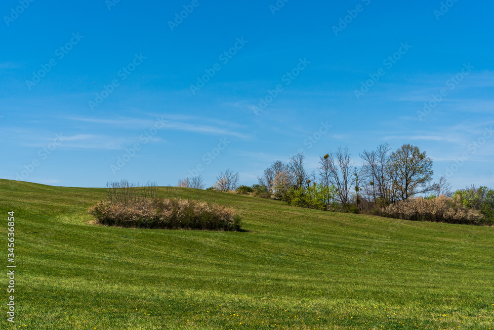 green pastures and trees blooming in spring on a clear day with blu e sky, czech beskydy