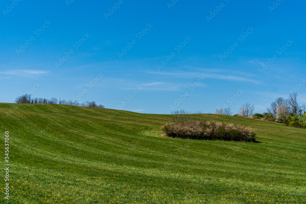 green pastures and trees blooming in spring on a clear day with blu e sky, czech beskydy green pastures and trees blooming in spring on a clear day with blu e sky, czech beskydy