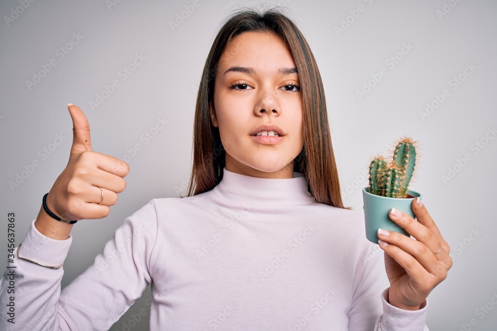 Young beautiful brunette girl holding small cactus plant pot over isolated white background happy with big smile doing ok sign, thumb up with fingers, excellent sign Young beautiful brunette girl holding small cactus plant pot over isolated white background happy with big smile doing ok sign, thumb up with fingers, excellent sign