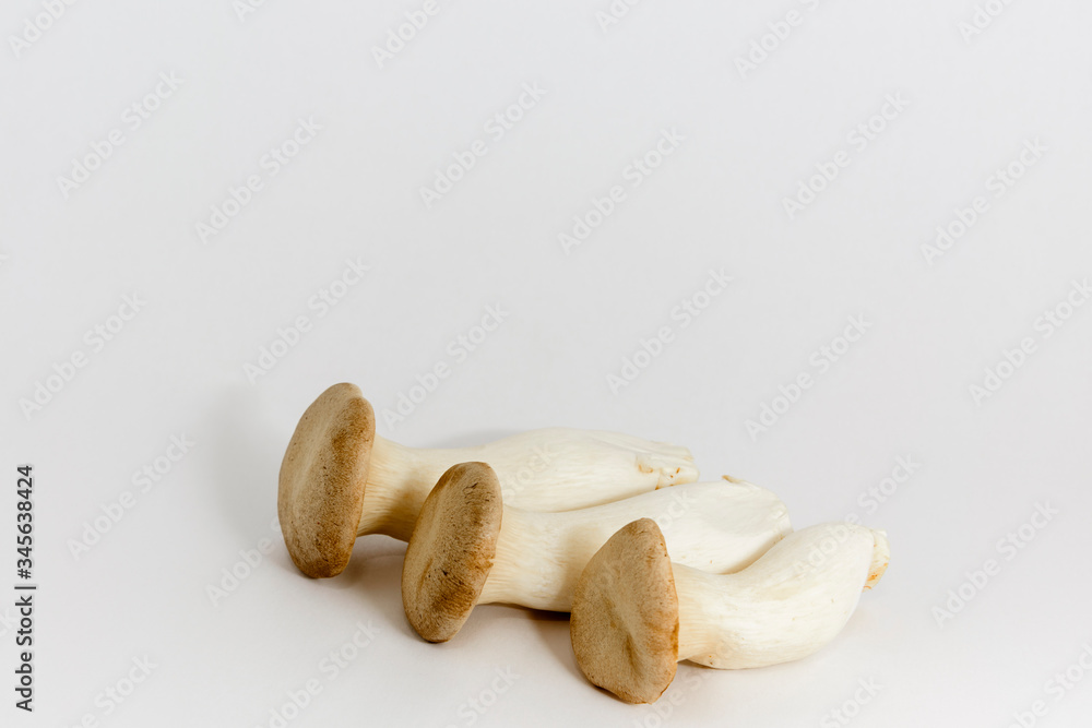 エリンギ エリンギ