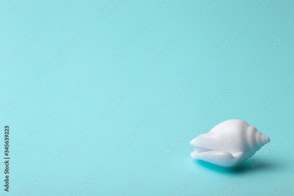 Background green blue color with seashells. Sea and ocean background with white shell. Copy space Background green blue color with seashells. Sea and ocean background with white shell. Copy space