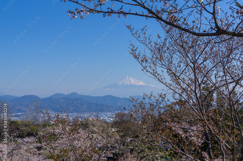 静岡日本平からの富士山 静岡日本平からの富士山