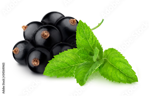 Composition with blackcurrant and sprig of mint isolated on a white background