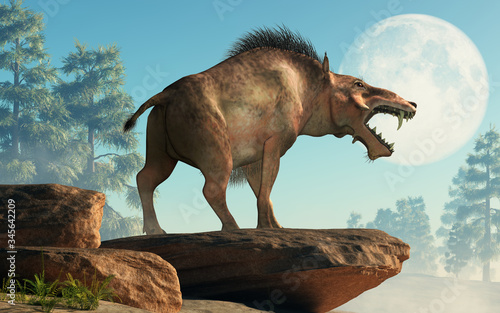 The Entelodon  or hell pig  is an extinct prehistoric pig or boar-like mammal that lived during the Eocene and Miocene  depicted in a landscape. 3D Rendering 