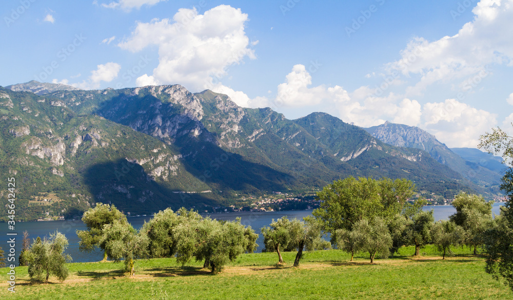 Fototapeta premium A large green field with a mountain in the background. High quality photo