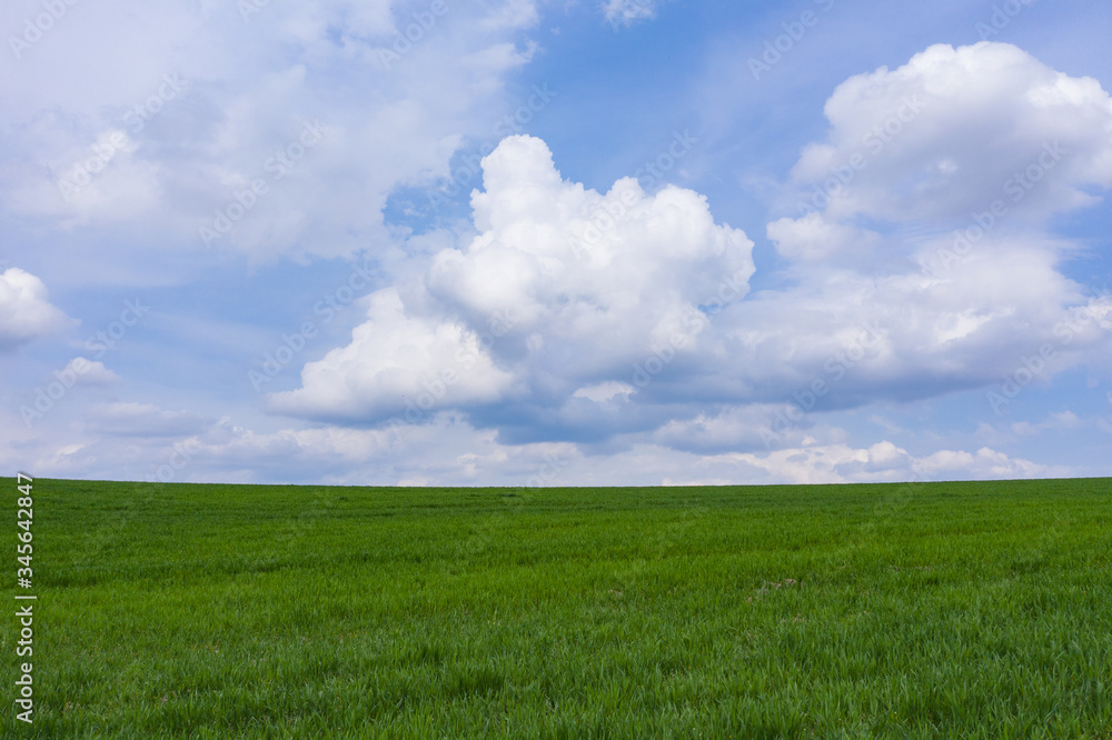 Green rural fied on sky with clouds background Green rural fied on sky with clouds background