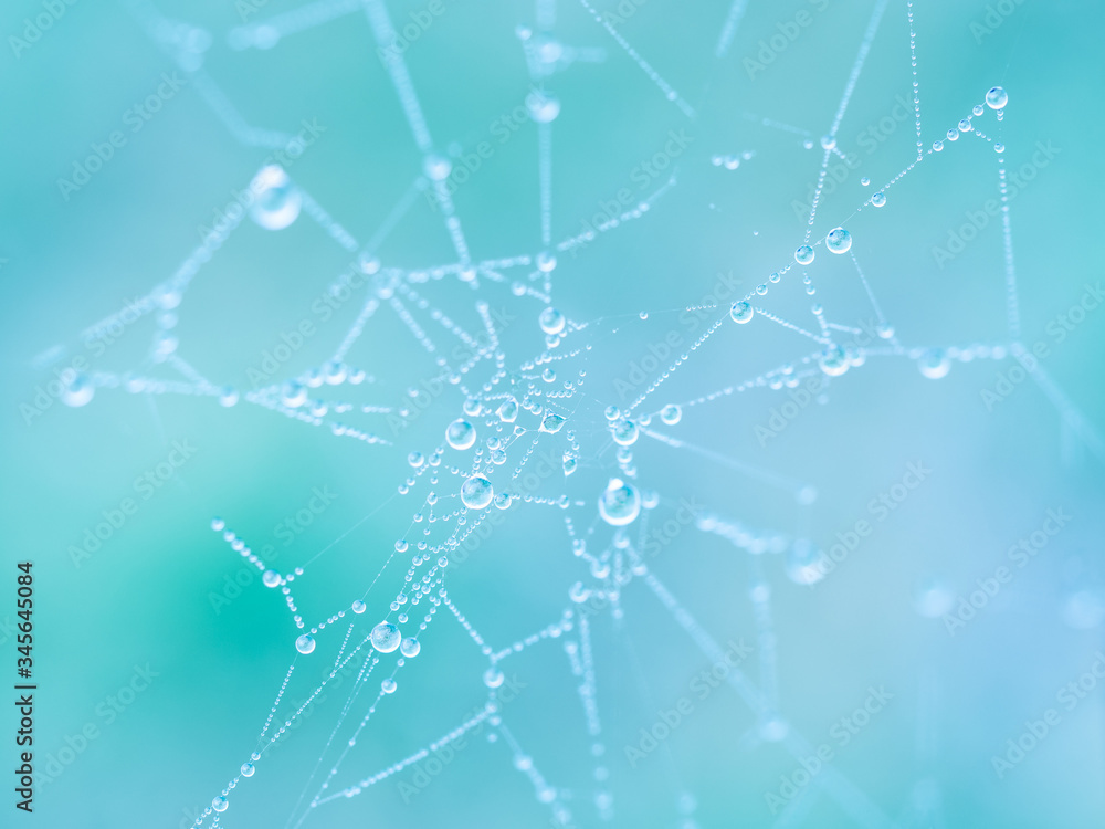 Spider web with water drops, colorful background Spider web with water drops, colorful background