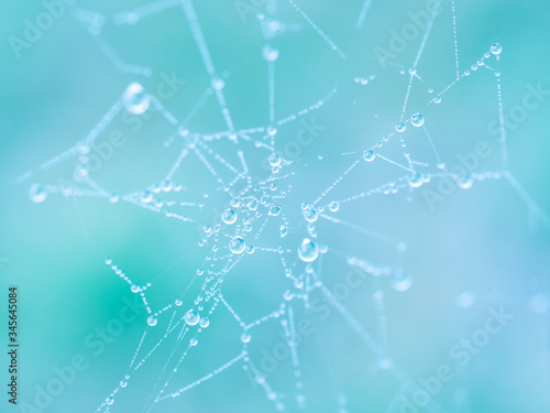 Spider web with water drops, colorful background