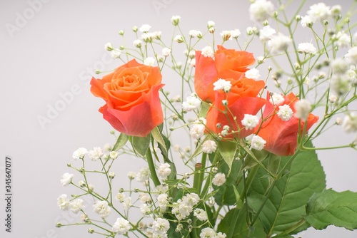 ピンクのバラ　カスミソウ