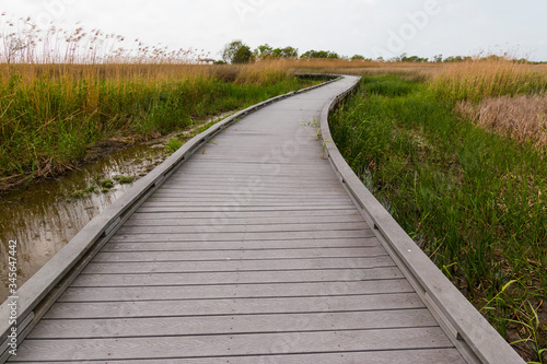 Boardwalk Leading Through The Wetlands Walkway On The Creole Nature Trail, Sabine National Wildlife Refuge, Louisiana, USA
