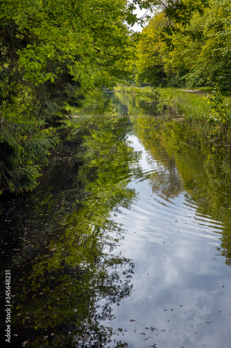 Pond and reflections. Voorsterbos Noordoostpolder Netherlands. Marknesse. Spring. Forest