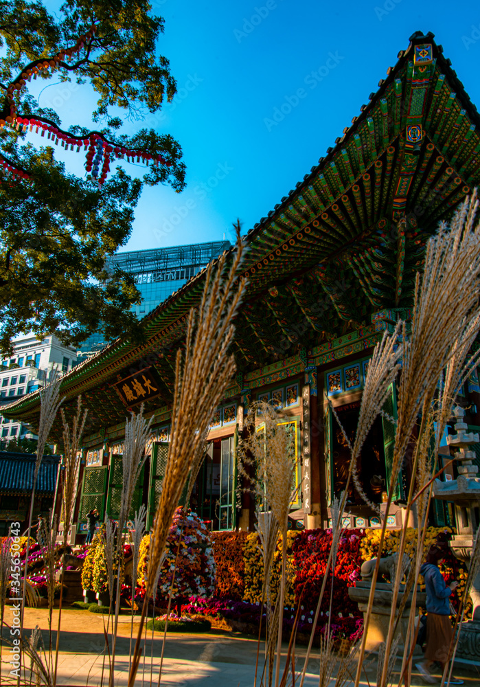 Fototapeta premium Seoul Korea