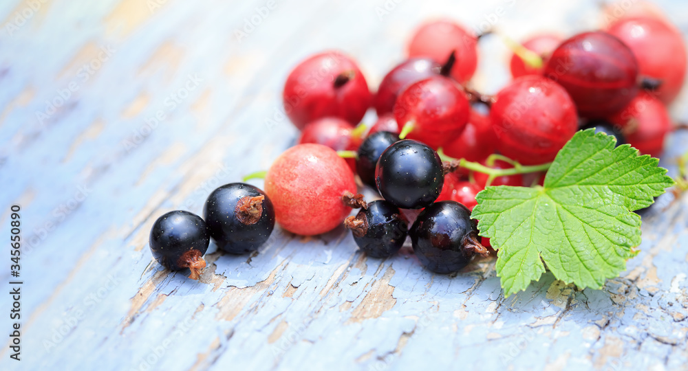 Macro fresh organic red and black currants, raspberries, gooseberries on a wooden aged background. Place for text. Vitamins and antioxidants. Vegan, vegetarian and clean food concept. Macro fresh organic red and black currants, raspberries, gooseberries on a wooden aged background. Place for text. Vitamins and antioxidants. Vegan, vegetarian and clean food concept.