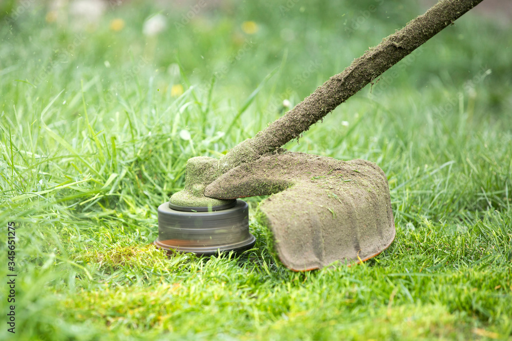 Fototapeta premium A lawn mower is cutting green grass