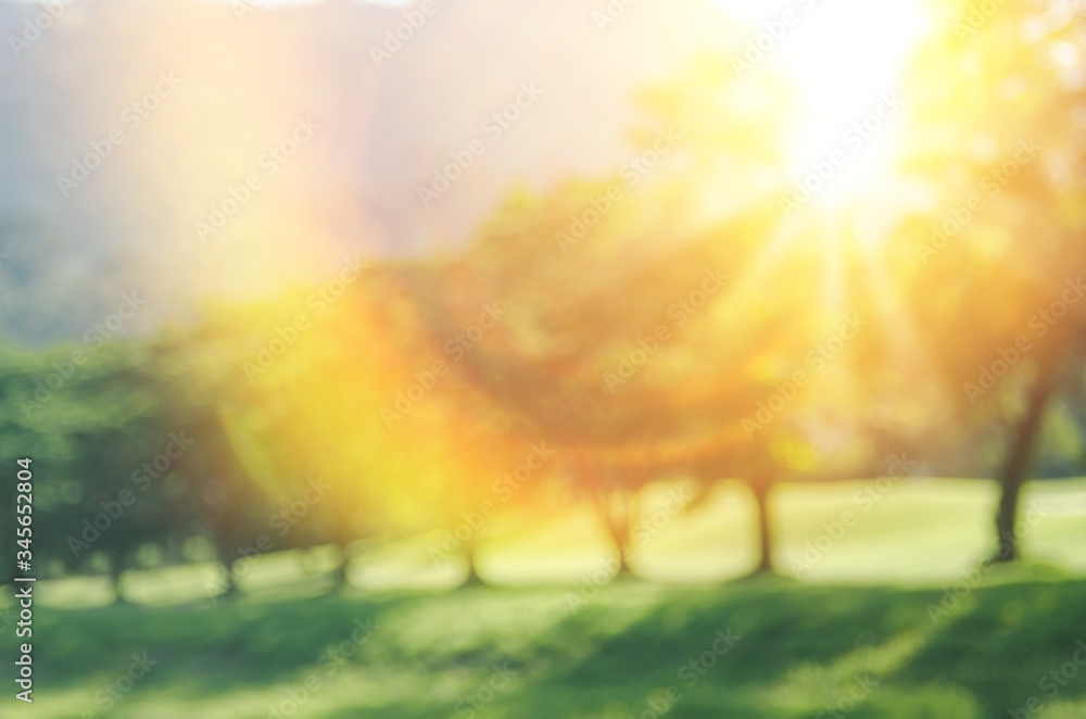 Blur nature green park with sun light abstract background. - obrazy, fototapety, plakaty 