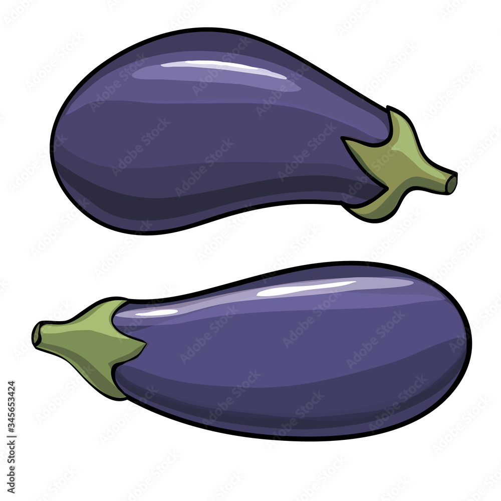 Vector. Aubergine. Eggplant on the white background Vector. Aubergine. Eggplant on the white background