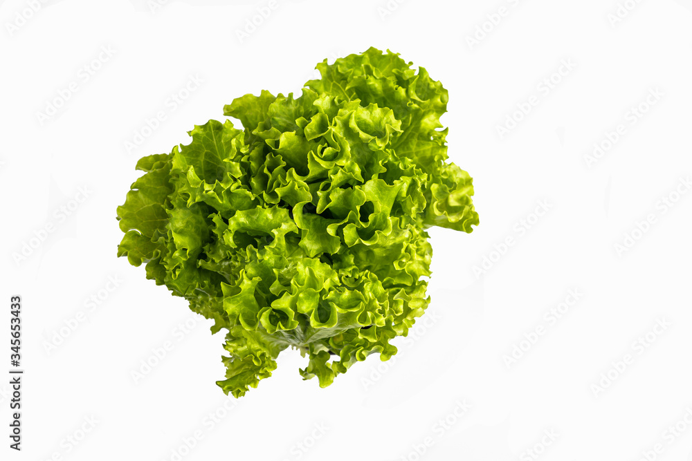 Obraz premium Lettuce leaves on a white background.