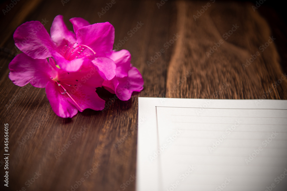 Fototapeta premium 花と手紙