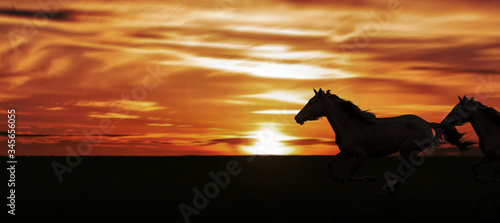 Fototapeta Naklejka Na Ścianę i Meble -  silhouette horses running in field against landscape at golden sunset.