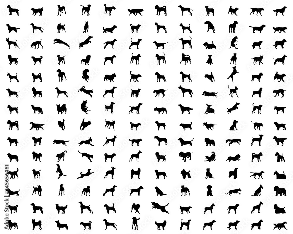 Black silhouettes of different breeds of dogs on a white background