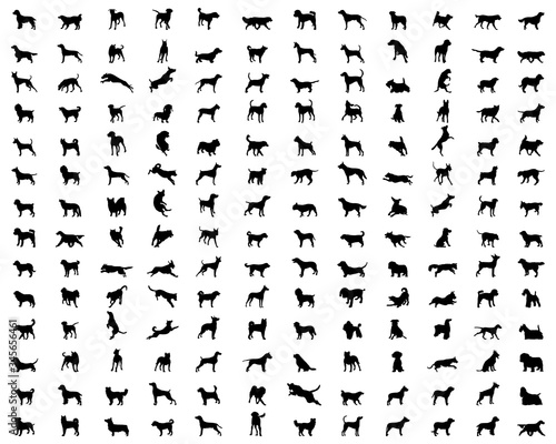 Black silhouettes of different breeds of dogs on a white background