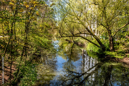 Zugewucherte Isebek
