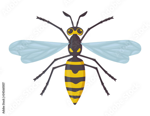 Detailed wasp isolated on white background. Insect hornet  dangerous concept. Stock vector illustration in flat cartoon style.