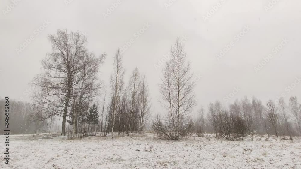 Landscape in countryside in cold and windy winter day. Landscape in countryside in cold and windy winter day.