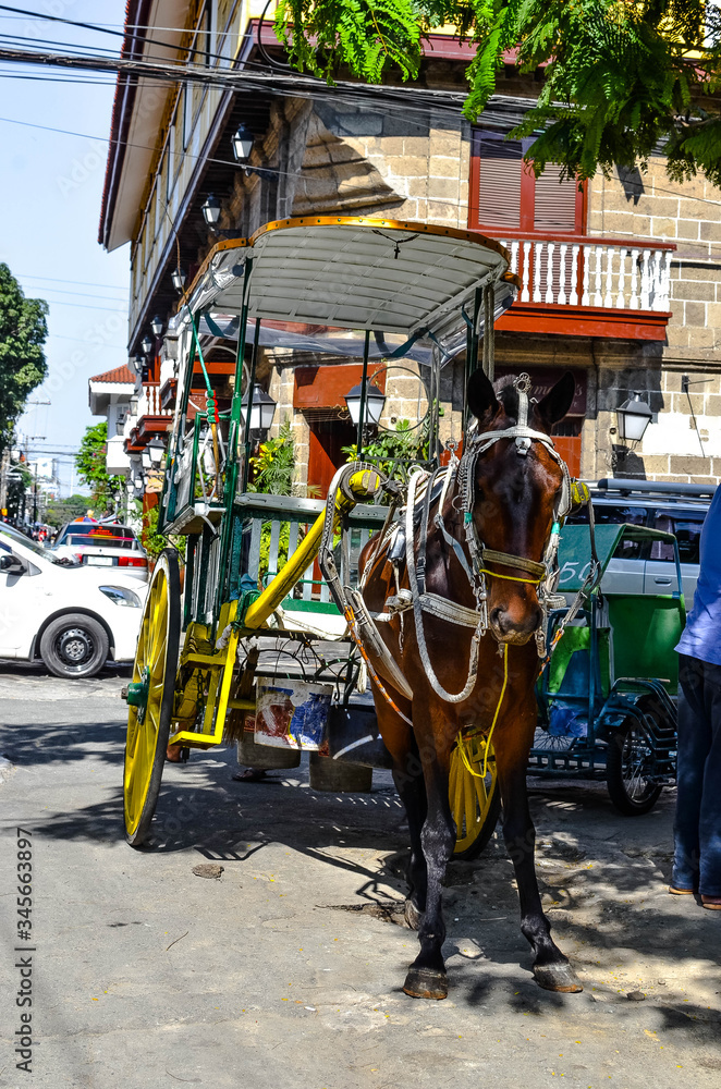 Manila old town tour by horse-drawn carriage Manila old town tour by horse-drawn carriage