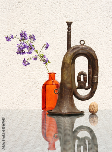 Фотография Still life with flower and old bugle