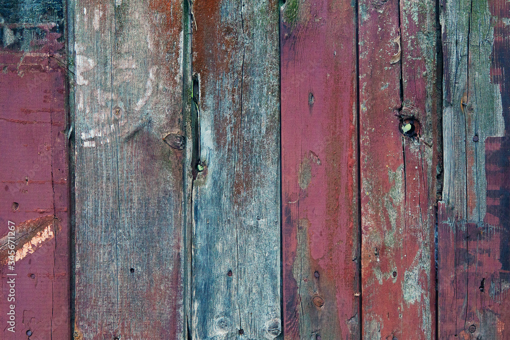 Texture of old wooden boards covered in blue, pink, gray paint. Vertical boards
