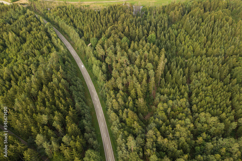 Aerial view of car driving on road through forest