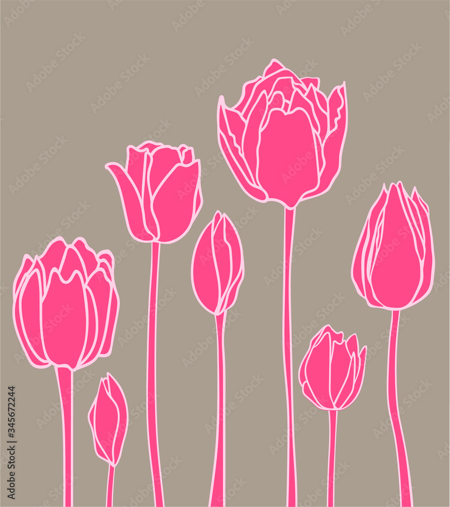Vector illustration with linear pink tulips isolated on grey background. Doodle, hand draw style. Graphic flowers. Spring garden concept. Botany art for wedding gretting card, postcard, summer poster.
