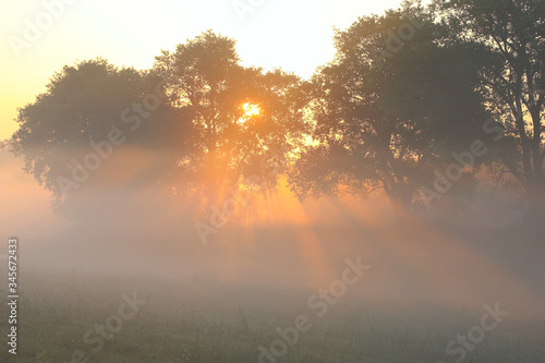 morning fog at dawn. sunrise. sun rays at dawn. © Oleksandr