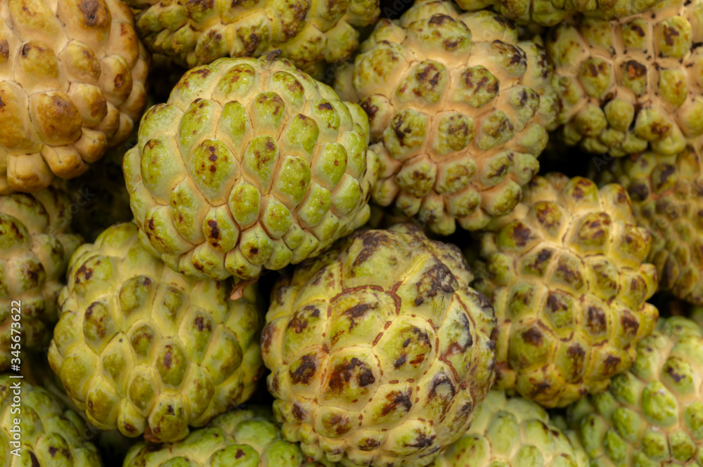 Obraz premium Custard apple fruits, Annona reticulata, are on display for sale at New Market area, Kolkata, West Bengal, India.