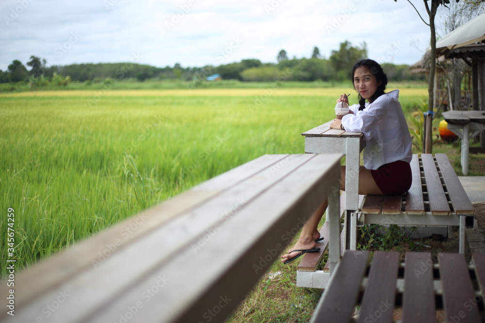 Fototapeta premium Woman sitting and watching rice fields Rayong, Thailand