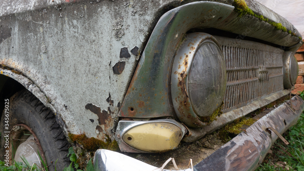 Fototapeta premium abandoned retro car overgrown with moss. wheels overgrown in the ground. cemetery of cars. Muscovite.