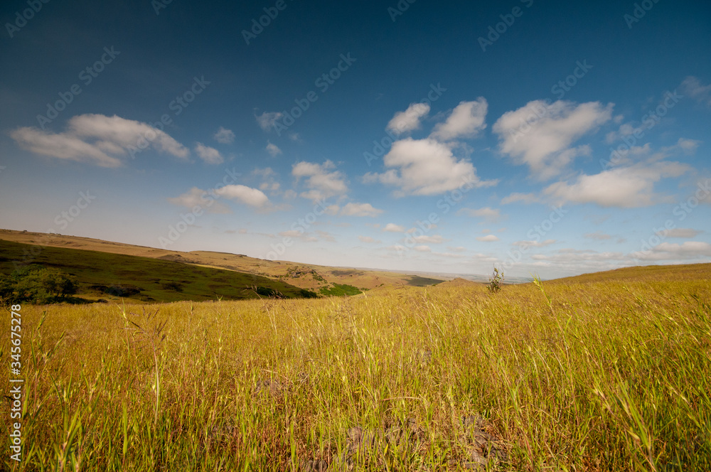 Landscape plains in Salalah, Dhofar, Oman