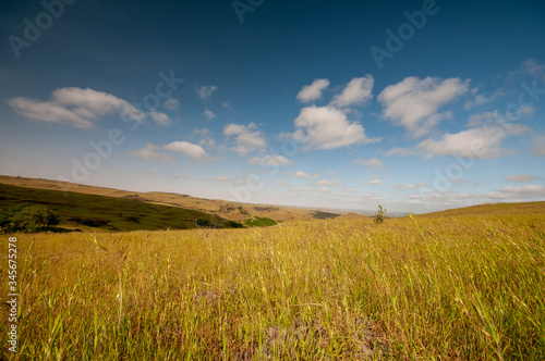 Landscape plains in Salalah  Dhofar  Oman