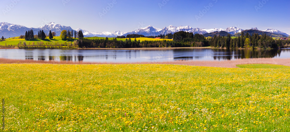 panorama landscape in Allgäu at spring
