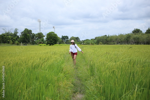 A woman standing in a rice field in Rayong, Thailand © pantkmutt